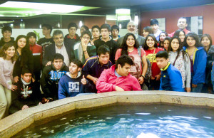 Cushamen Educación (2)