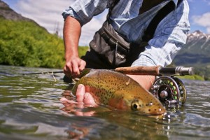 Temporada de Pesca (1)
