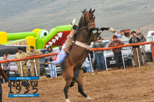 fiesta domador