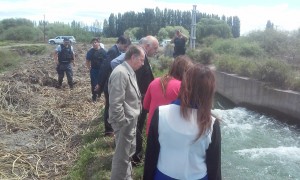 juicio lamonega 50